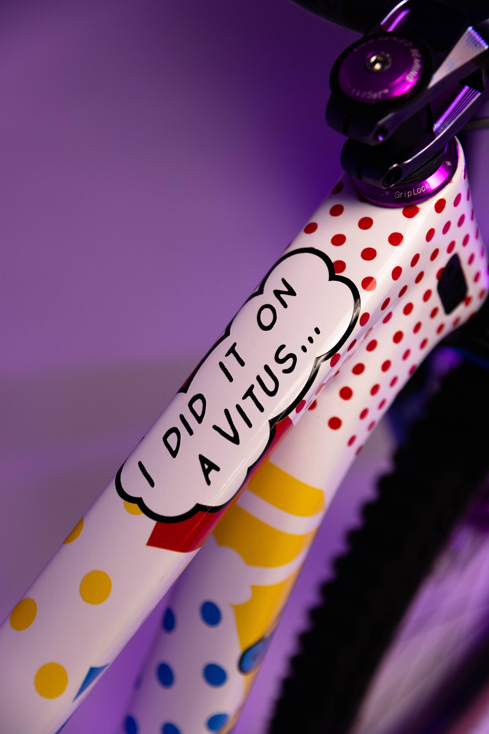 Hap Seliga's custom Pop Art-inspired Vitus Rapide mountain bike.