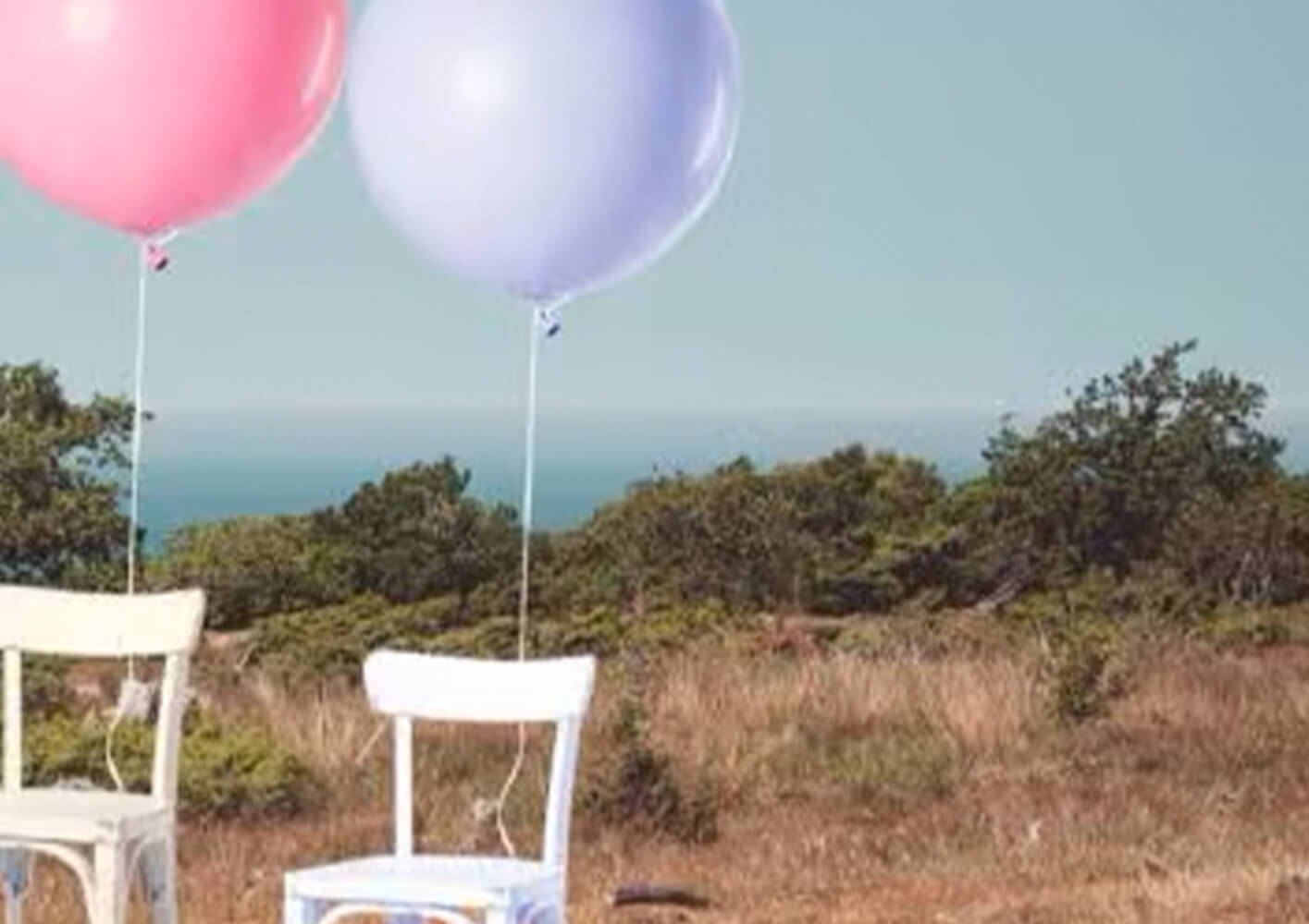 The Top Creative Gender Reveal Ideas