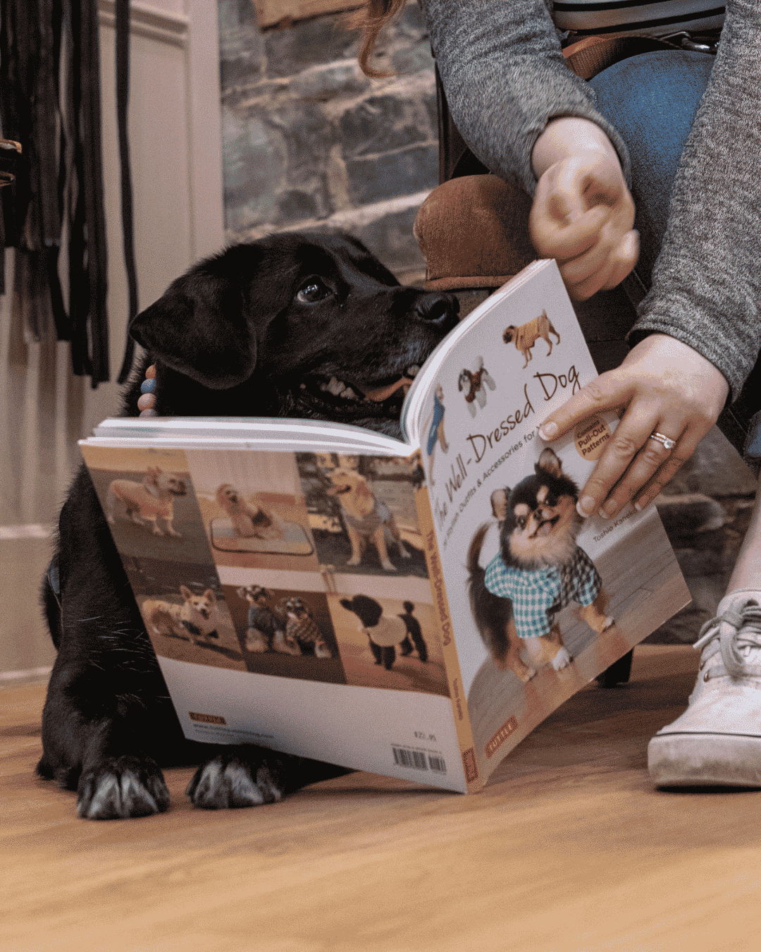 Dog looking at a book about dogs while a person gestures nearby.