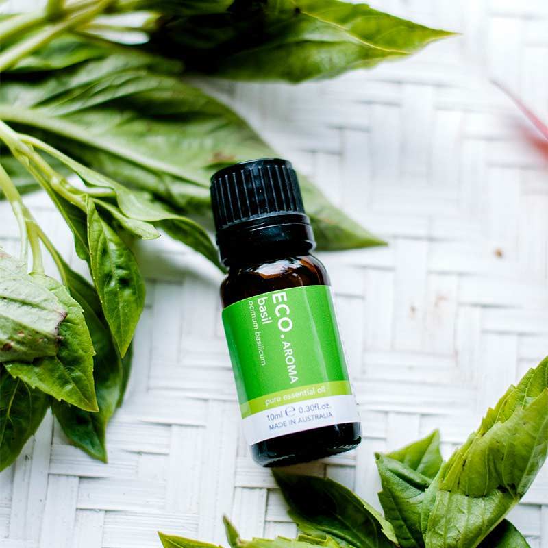 Basil essential oil