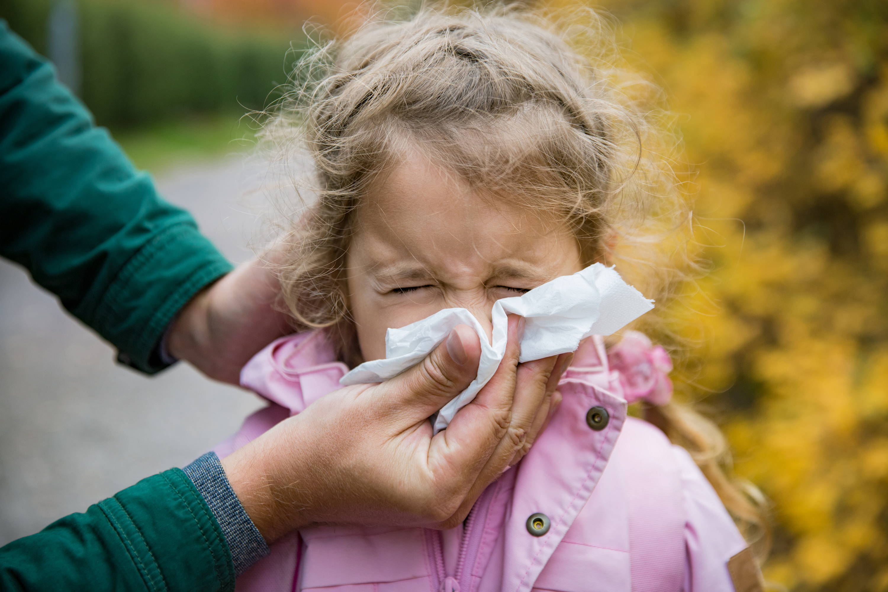 Holčička v růžové bundičce krčí tvář, otec jí drží ubrousek pod nosem a pomáhá jí se vysmrkat – jsou venku, může mít alergii na pyl