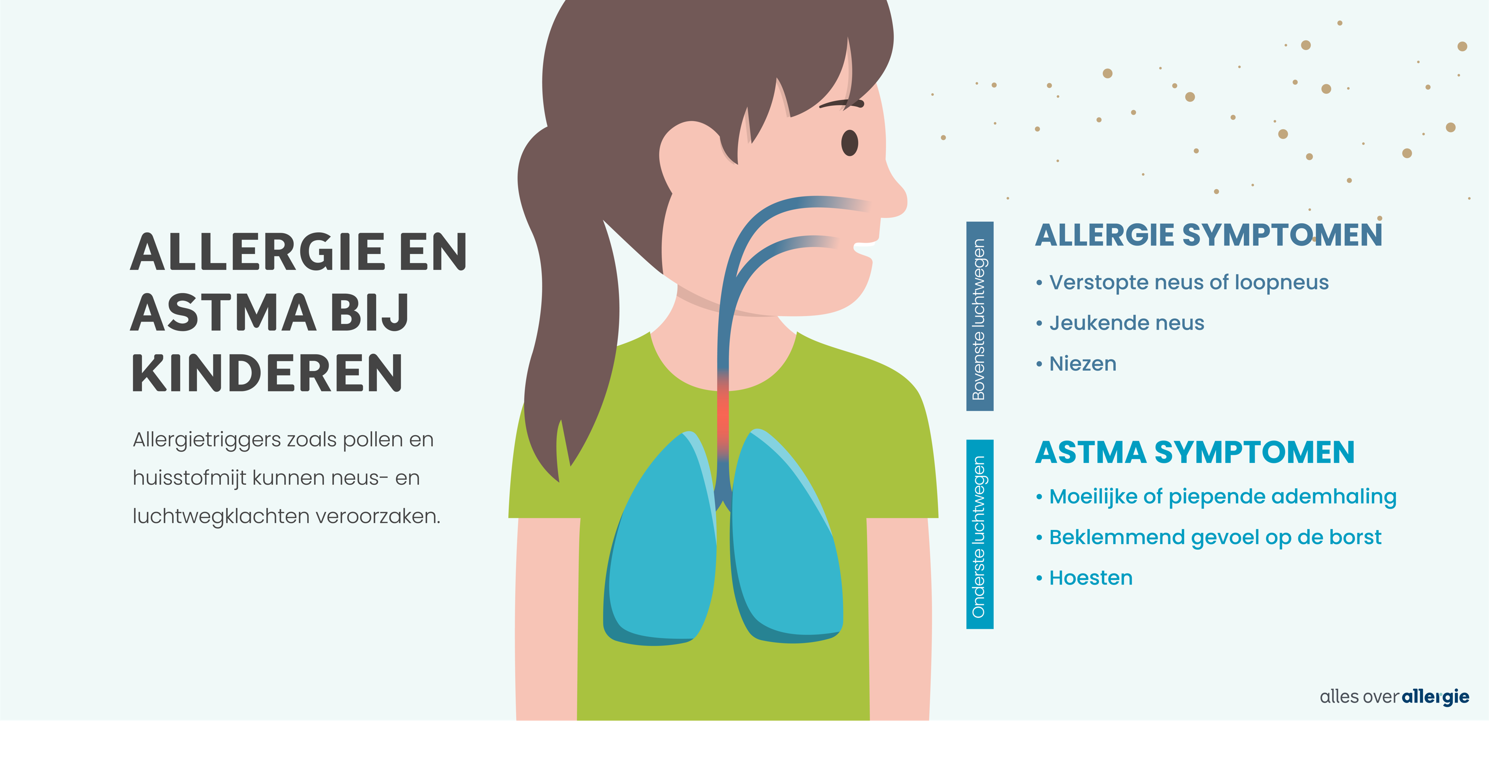 Infographic die de mogelijke connectie tussen luchtwegallergieën en astma weergeeft. 