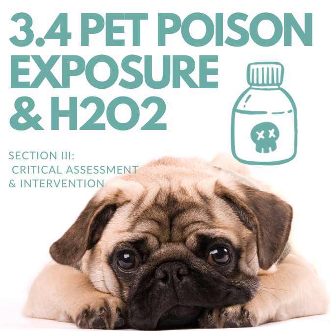 3.4 PET POISON EXPOSURE protocol & H2O2hydrog