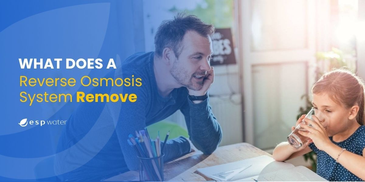 Reverse Osmosis systems can remove many different contaminants