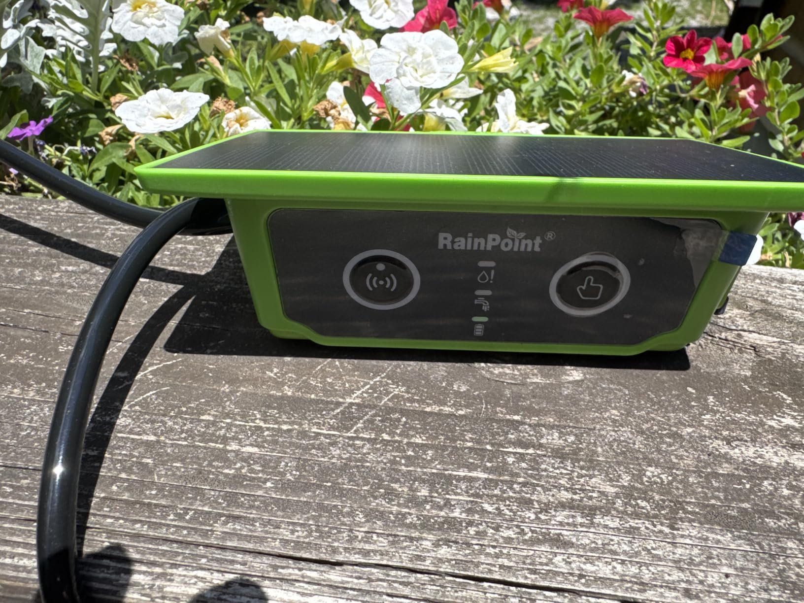 A green and black device on a wooden surface with flowers in the background.