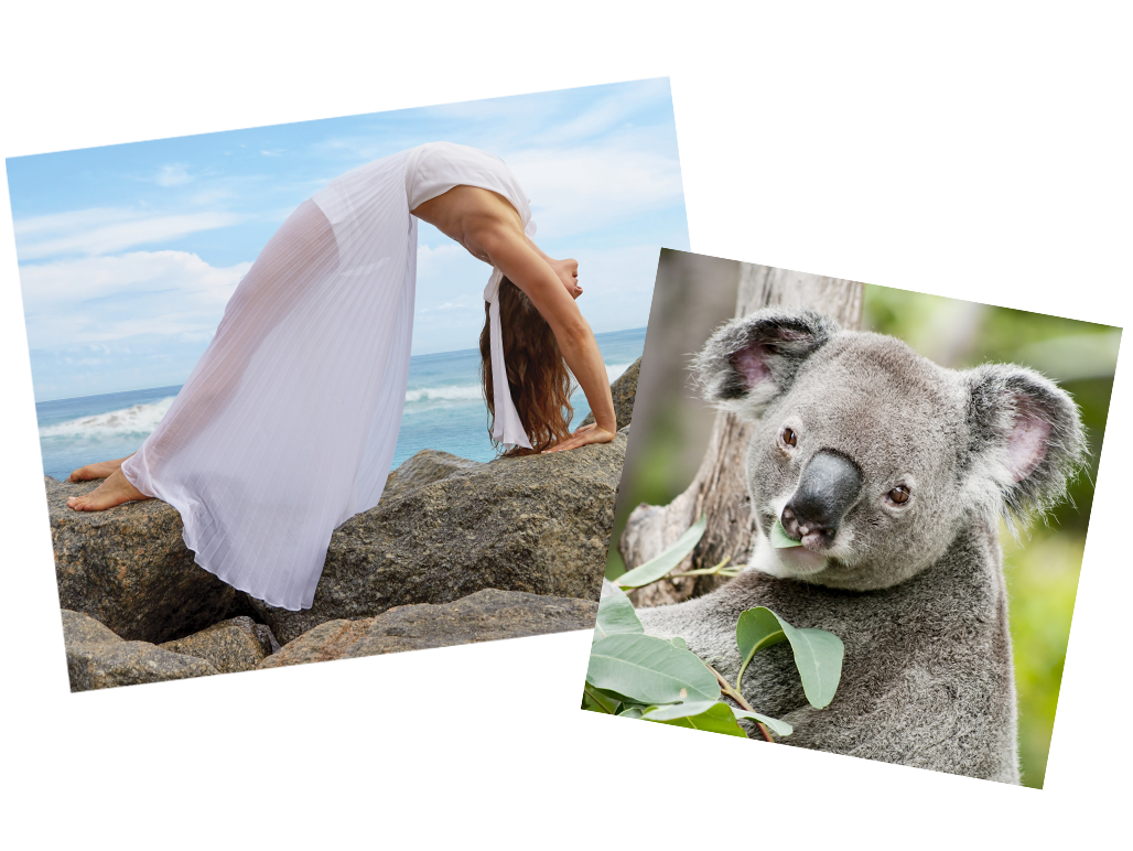 Hawaii Mom Blog: Koala Eco Review