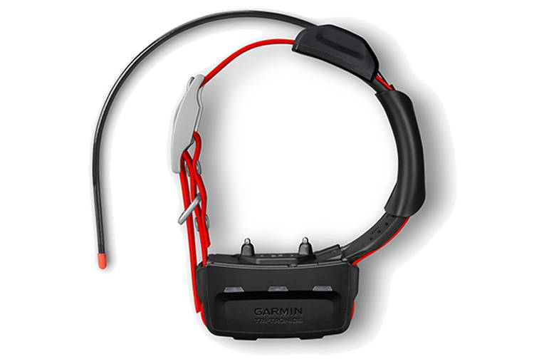 TT 15X Garmin tracking and training dog collar