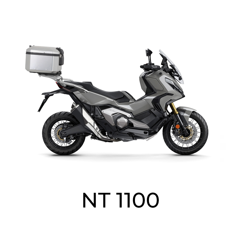 NT1100