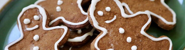 High Quality Organics Express Gingerbread on a plate