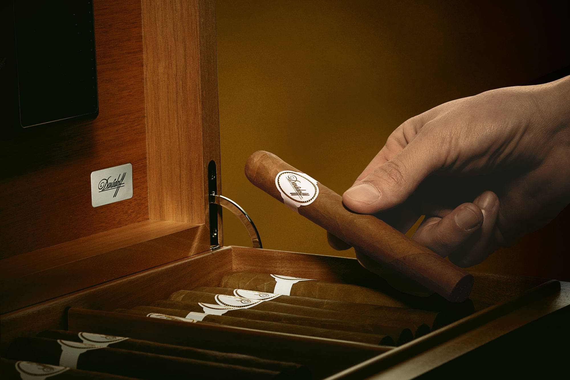 Auswahl – Nahaufnahme einer Hand, die eine Davidoff White Band Zigarre aus einer Holzkiste nimmt. 