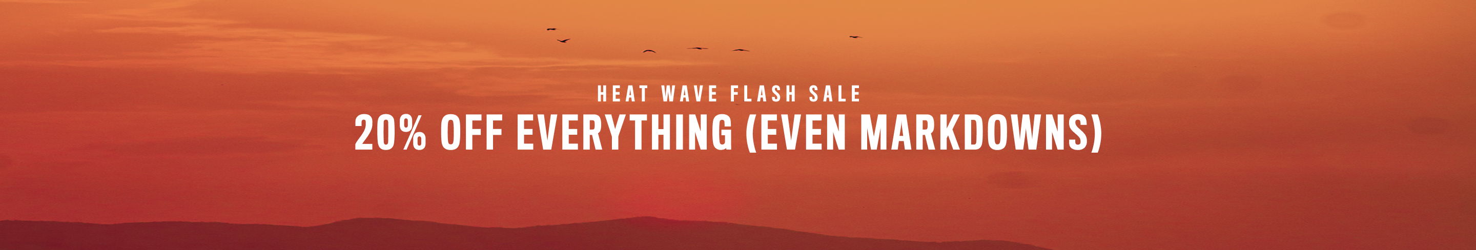 20% off everything until midnight!