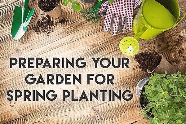 Preparing your garden for spring planting