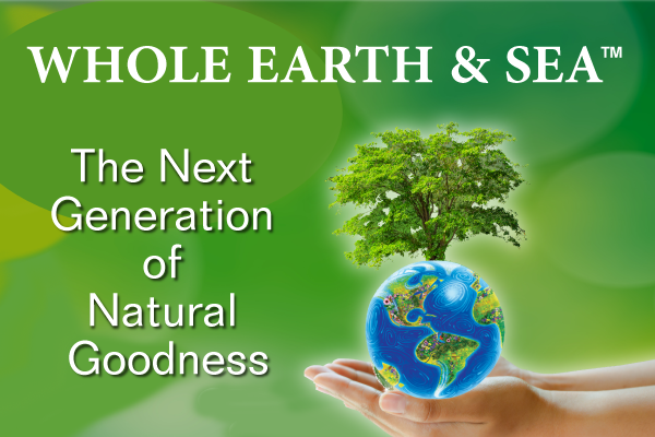 Logo for Whole Earth & Sea with a hand holding a globe and tree.