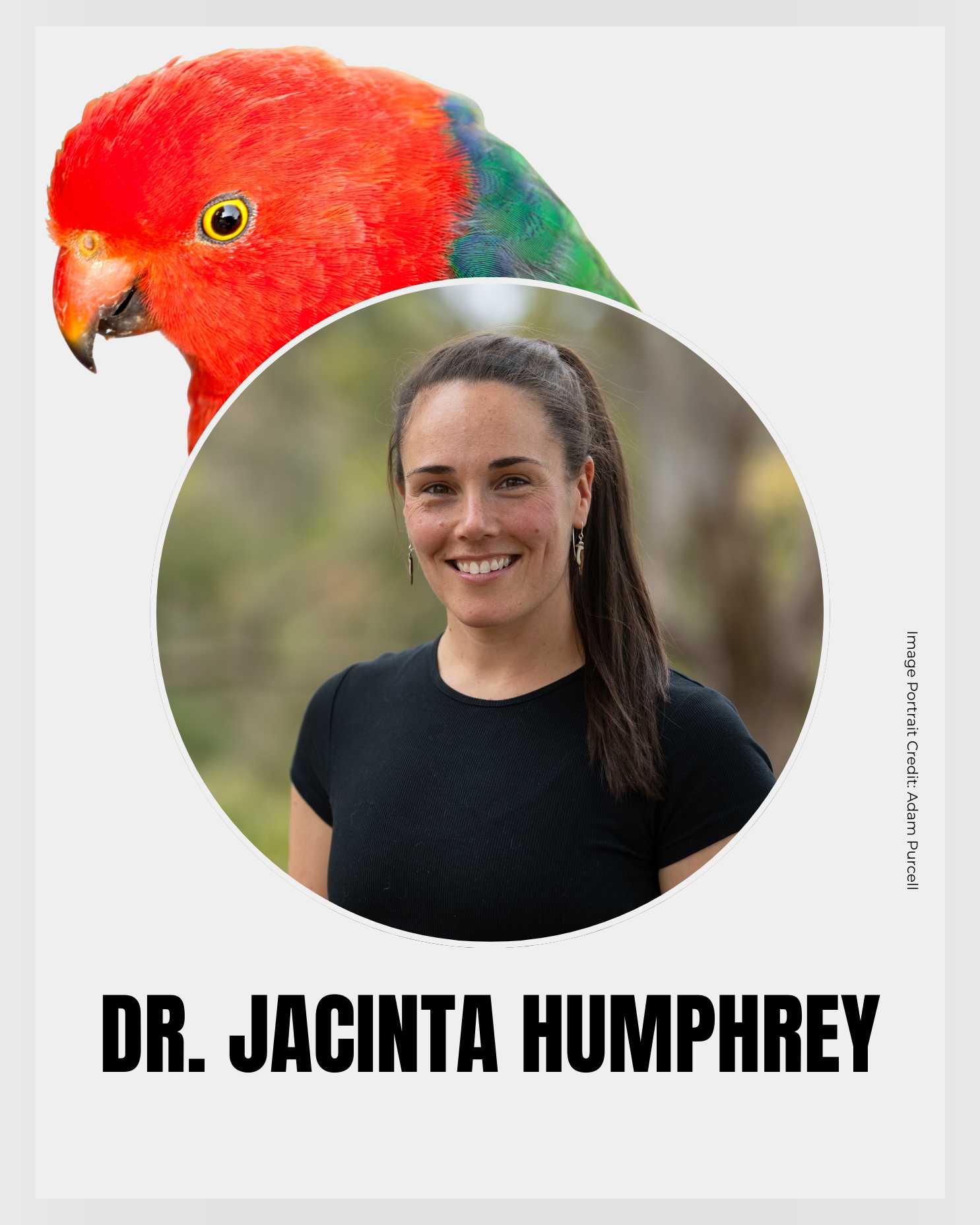 Jacinta Humphrey with an Australian King Parrot