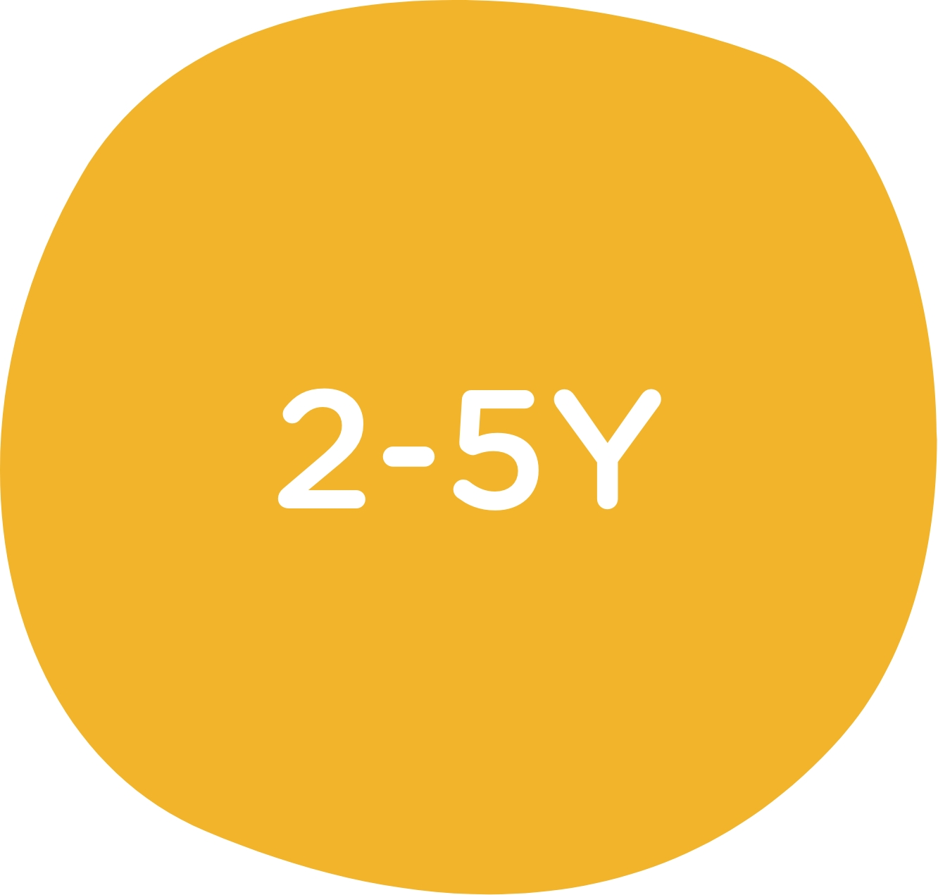 2-5Y