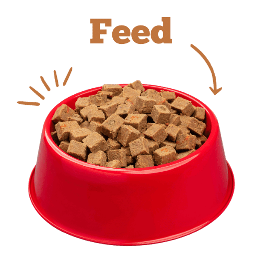 Bowl of dog food with text: Feed