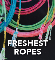 Colorful ropes hanging with the text 
