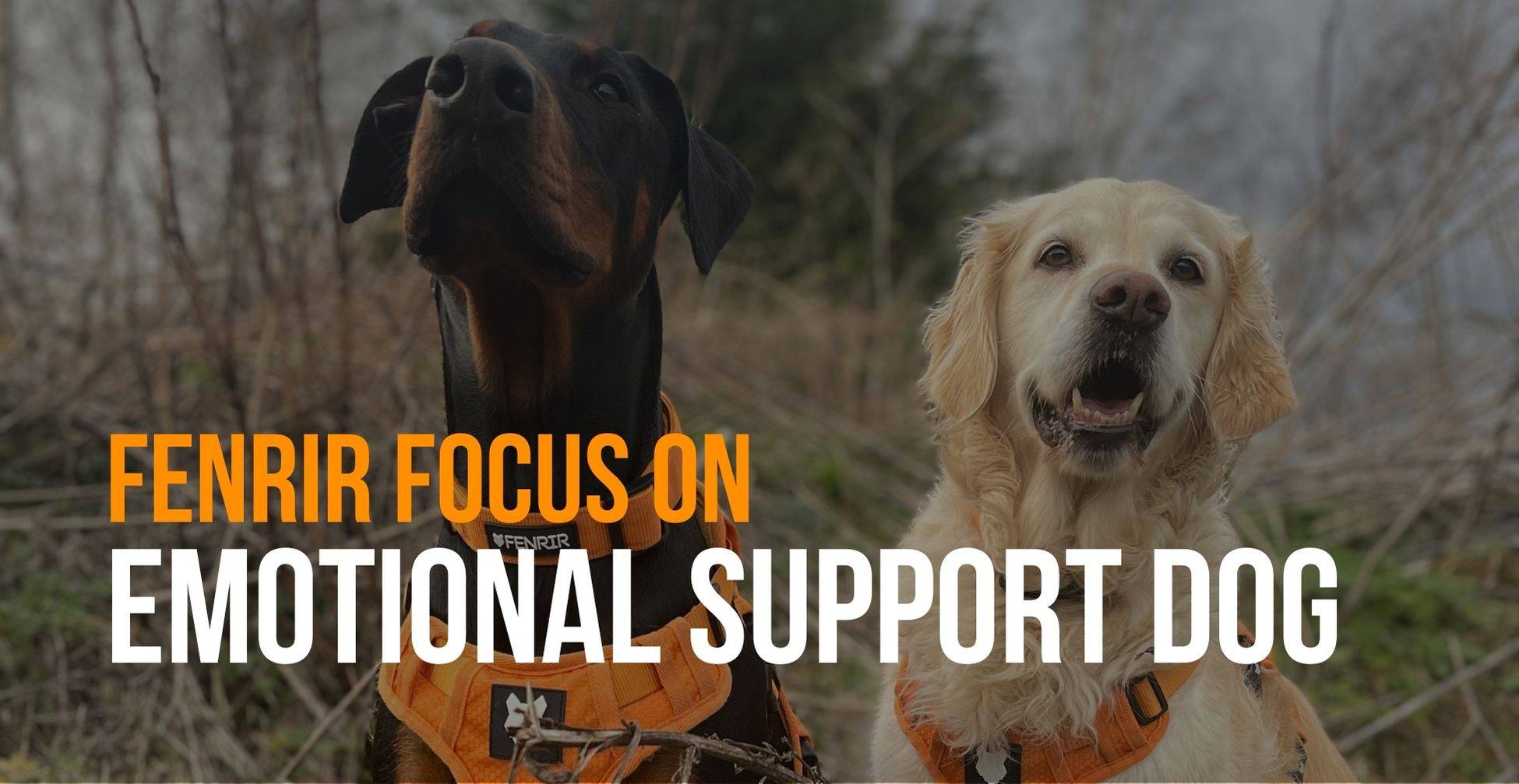 Emotional Support Dogs - Fenrir Canine Leaders