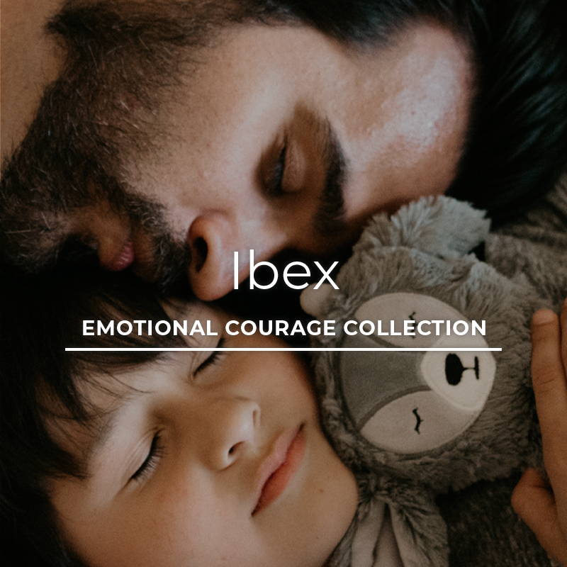 View Ibex & Emotional Courage Resources