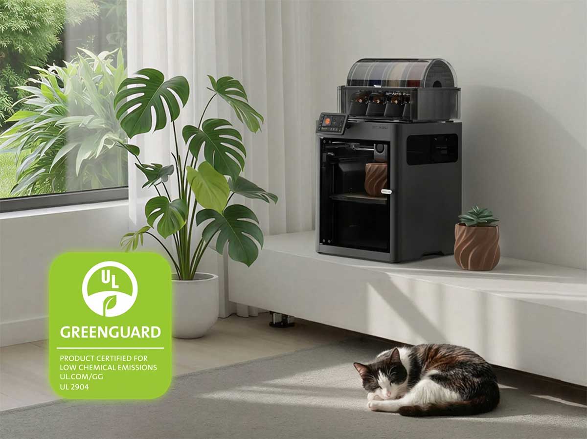 Cat resting on the floor near a coffee maker and plants.