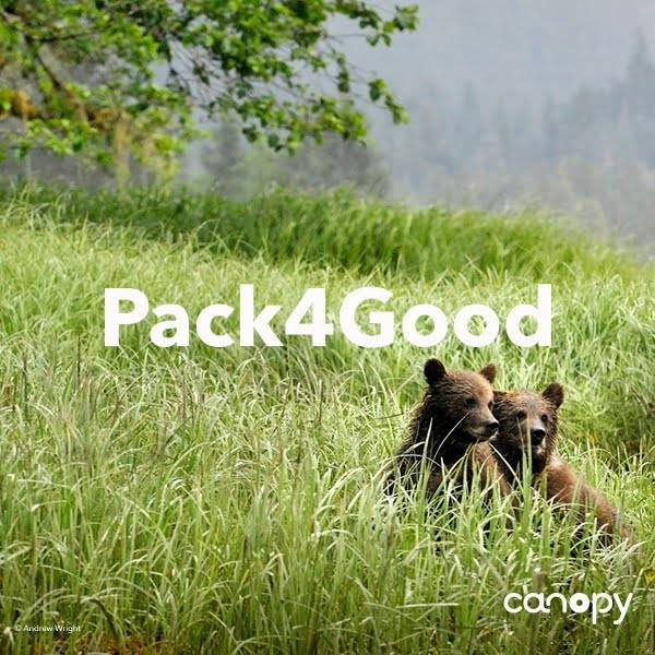 Canopy Pack 4 Good