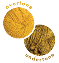Overlapping circles of yarn color samples Tones Light Goldfinch Overtone and Undertone