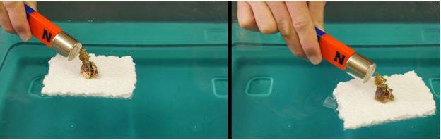 A piece of bismuth resting on a Styrofoam boat is pushed slowly by a very strong magnet's field.