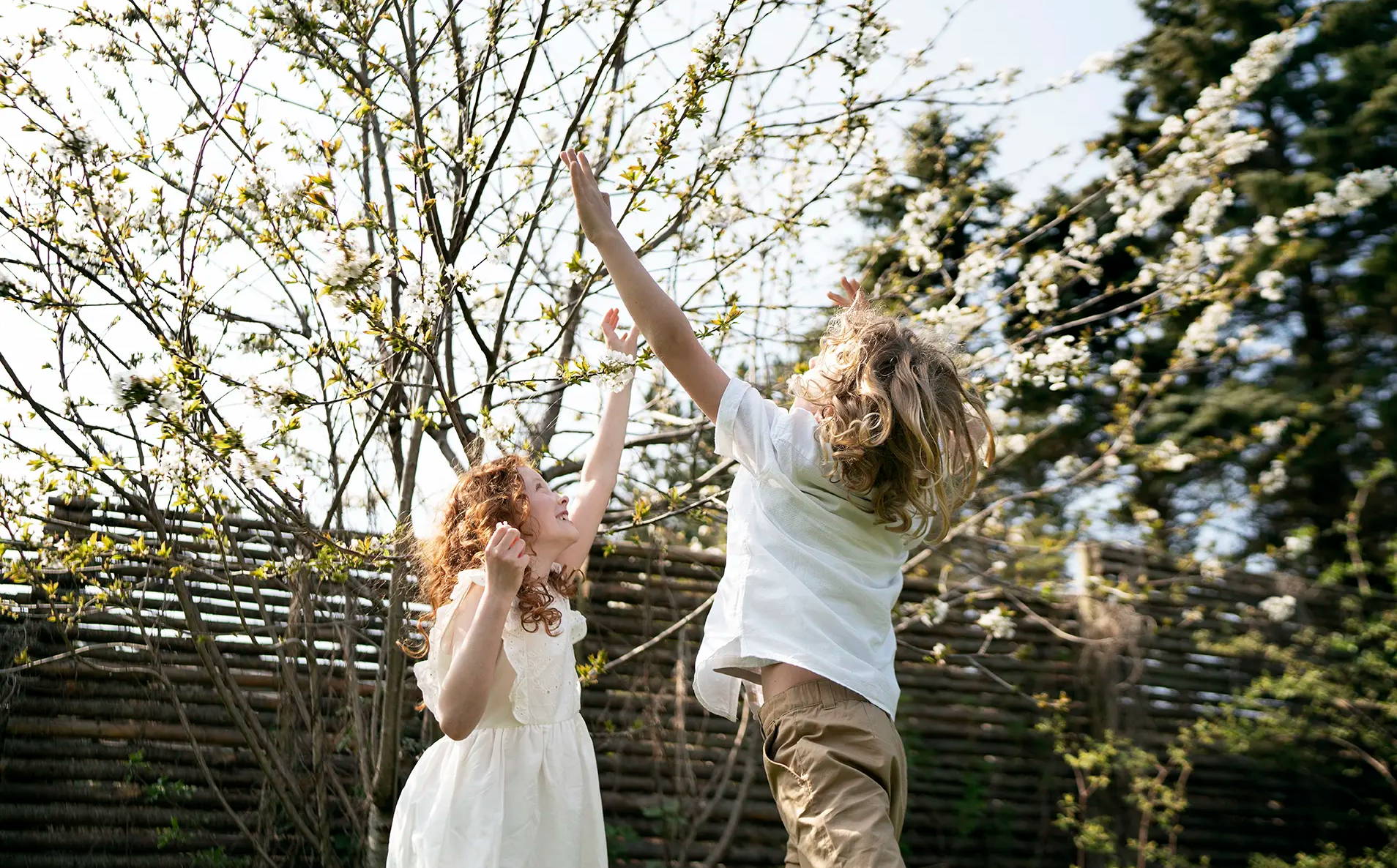  Ein Mädchen und ein Junge spielen zusammen draußen und springen, um die zarten rosa Blüten an den Bäumen zu berühren