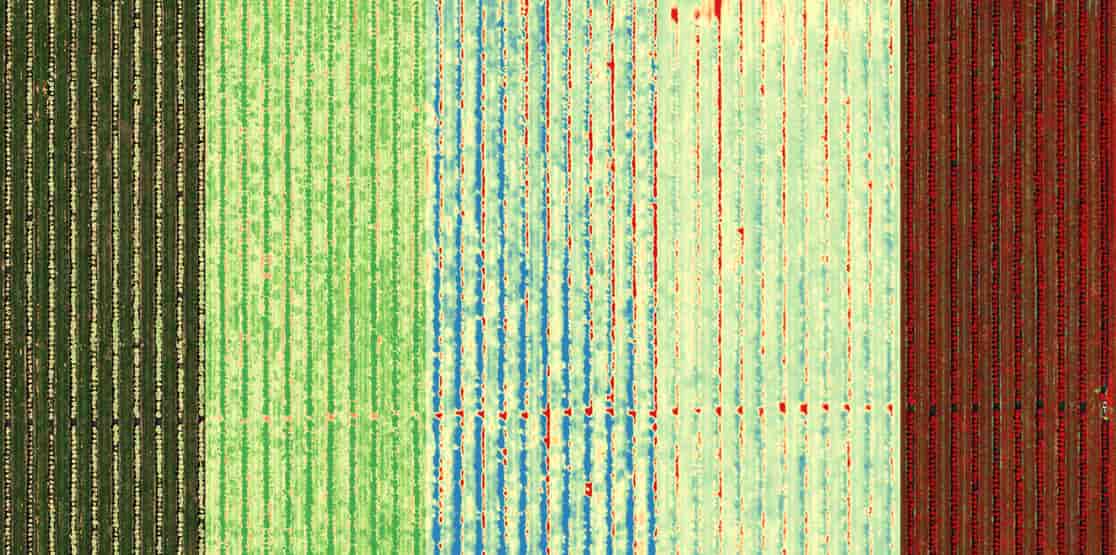 The MicaSense Altum PT Offers Synchronized Thermal and Multispectral Capture