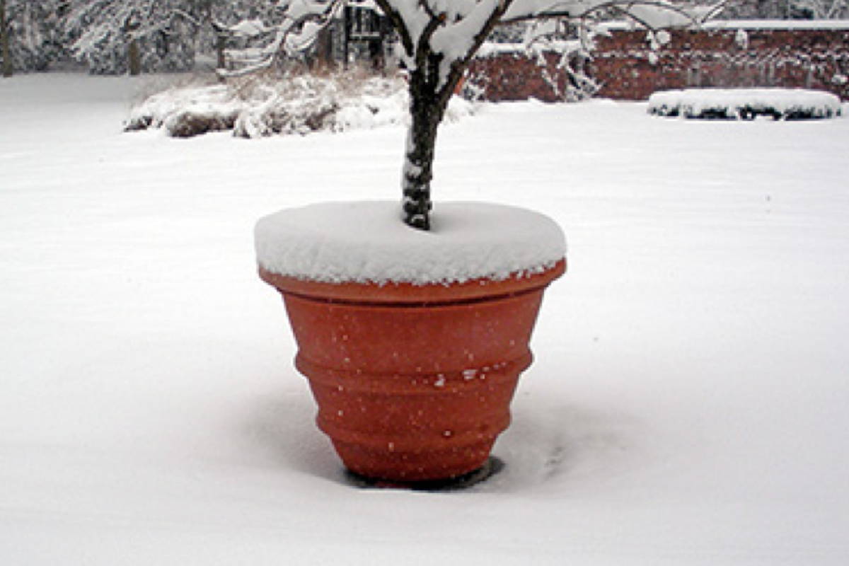 The Italian Terracotta Molded Rolled Rim Vase from Boxhill covered in snow