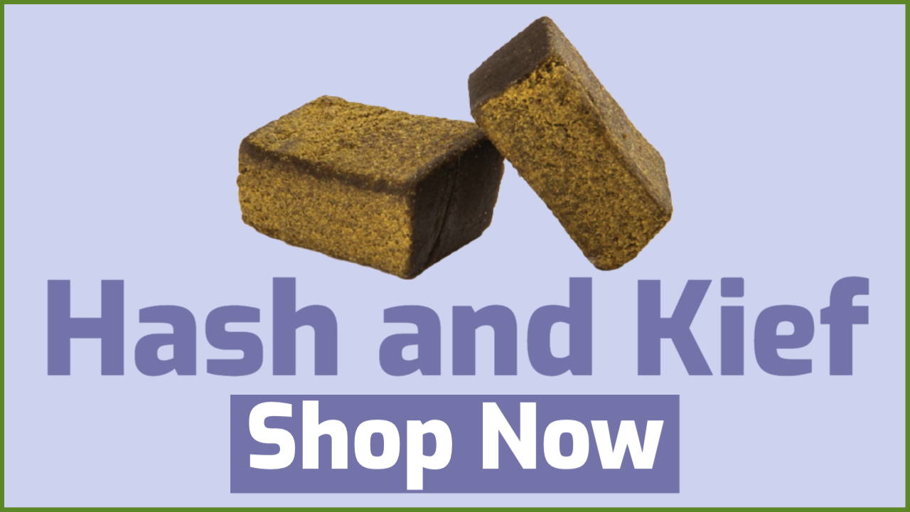 Hash | Hashish | Kief | Bubble Hash