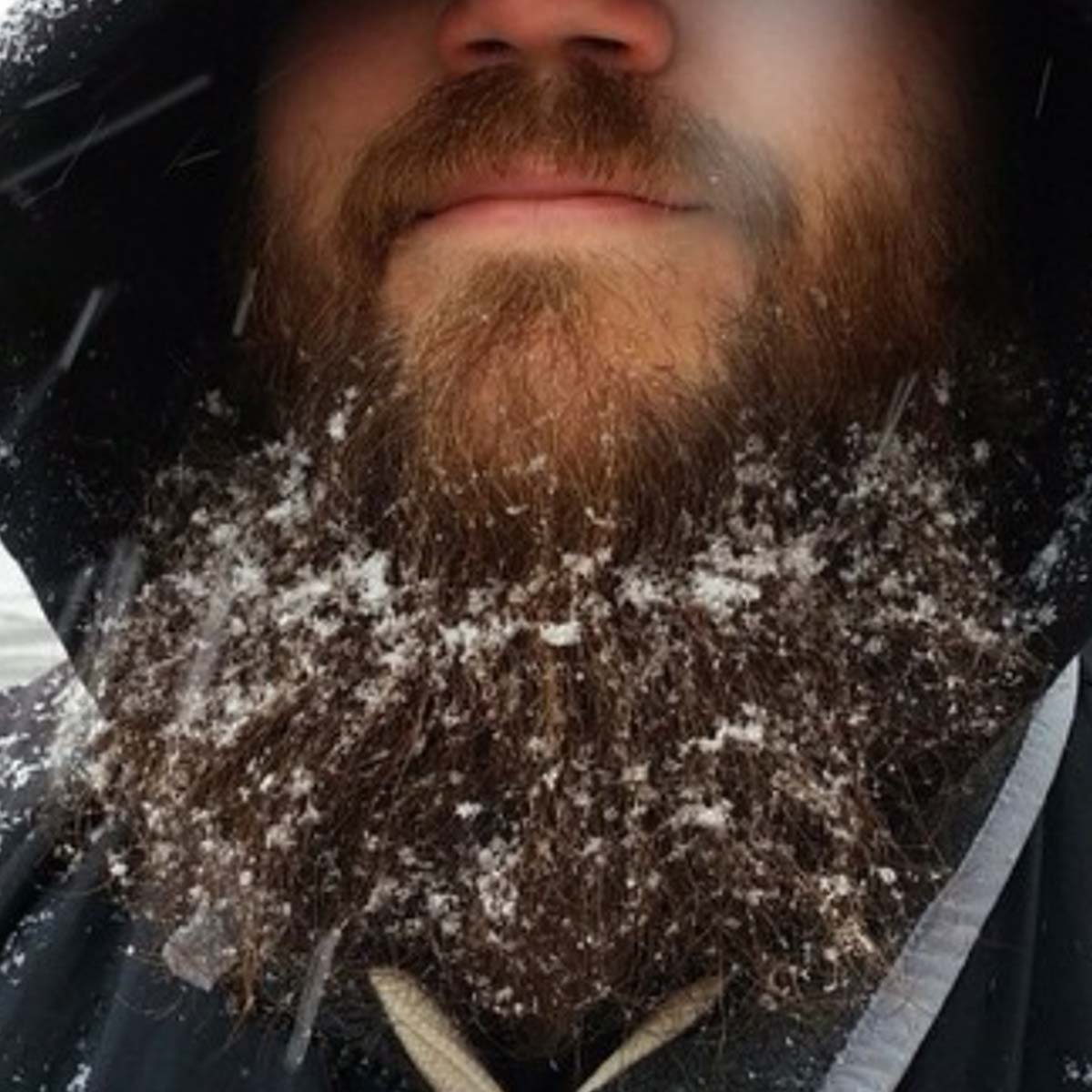 Ice in My Beard