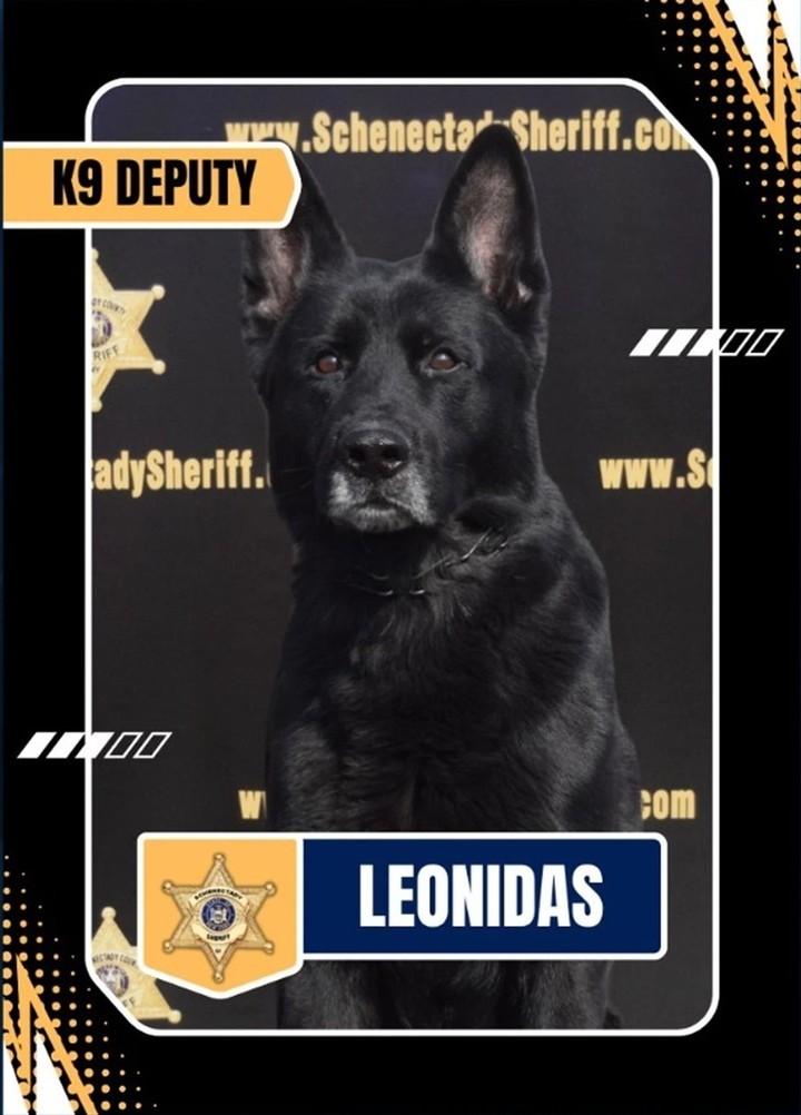 K9 Deputy Leonidas, a black dog, with a sheriff's badge background.