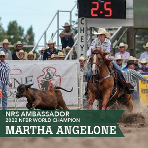 Cowgirl on horseback competing in rodeo, with spectators in the background.