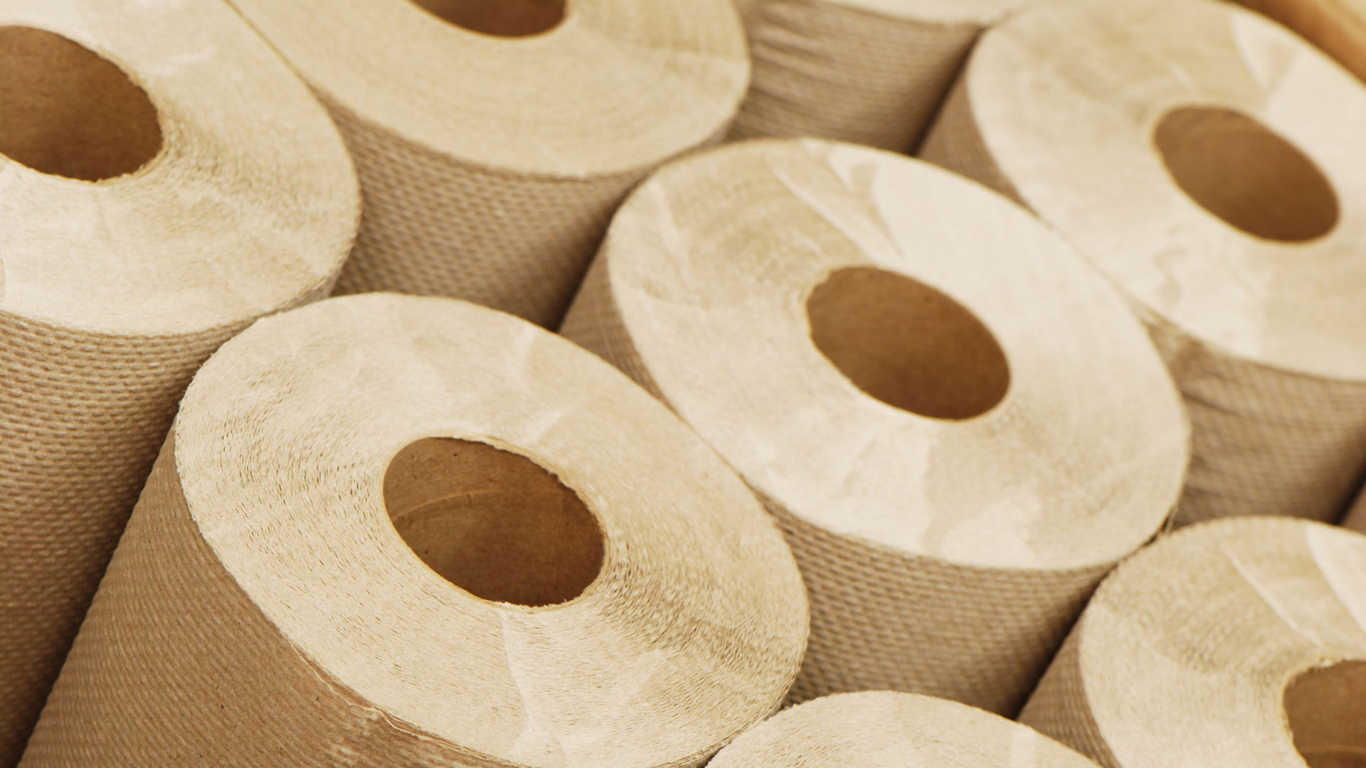 Commercial Paper Towels