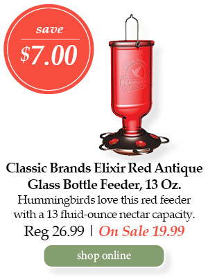 Classic Brands Elixir Red Antique Glass Bottle Feeder, 13-ounce - Save $7.00! Hummingbirds love this red feeder with a 13 fluid-ounce nectar capacity. | Regular price $26.99 - On Sale $19.99 | Shop 