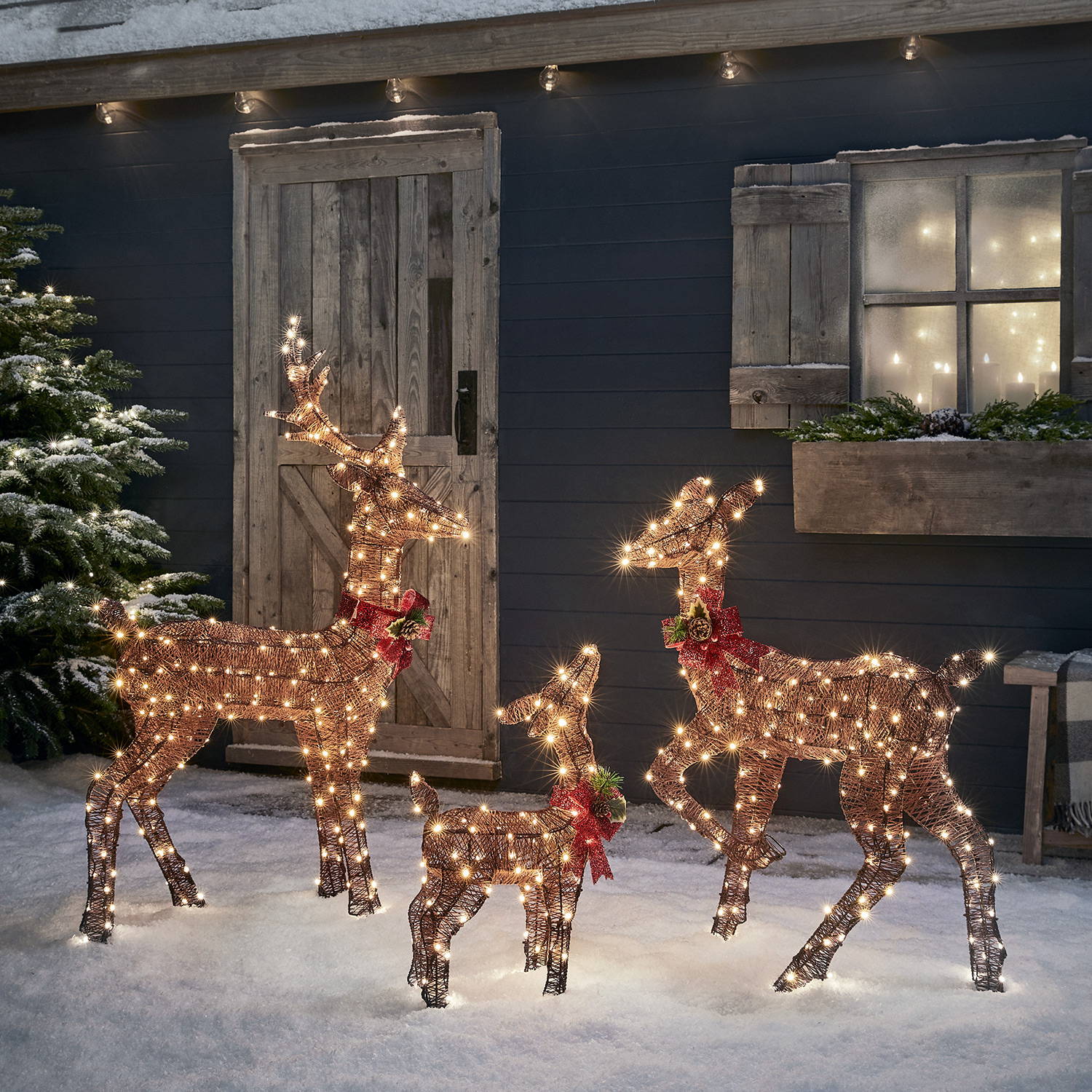Winter garden image featuring the Harewood reindeer family