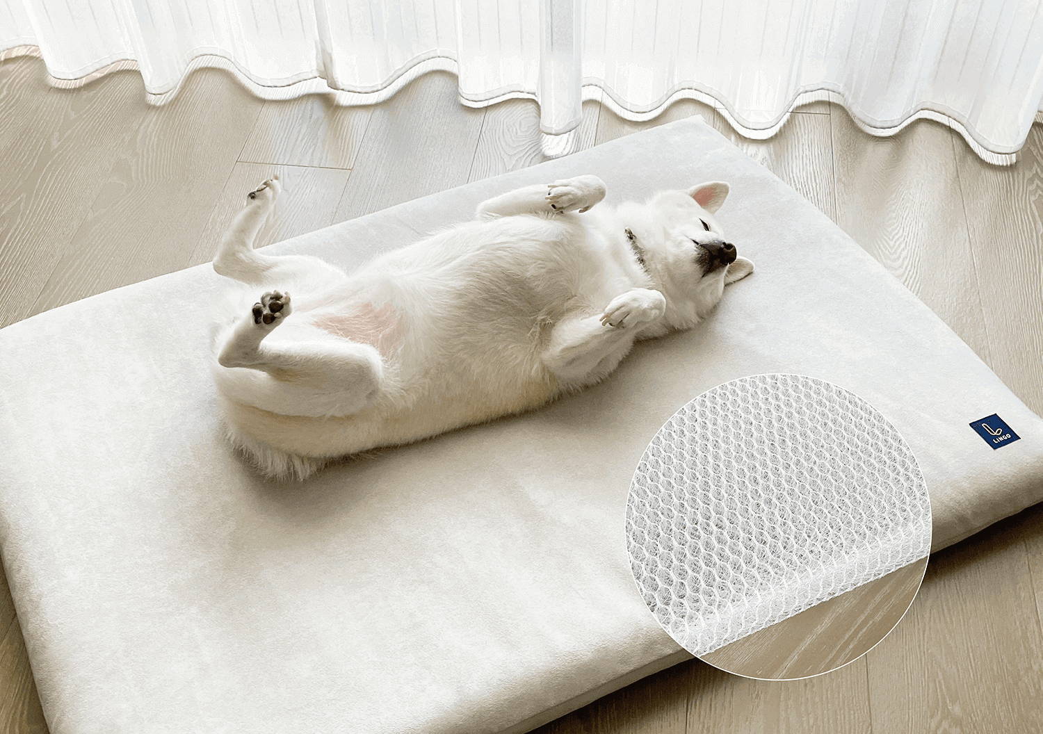 白色柴犬縮手躺睡在LINGO灰色透氣睡墊上
