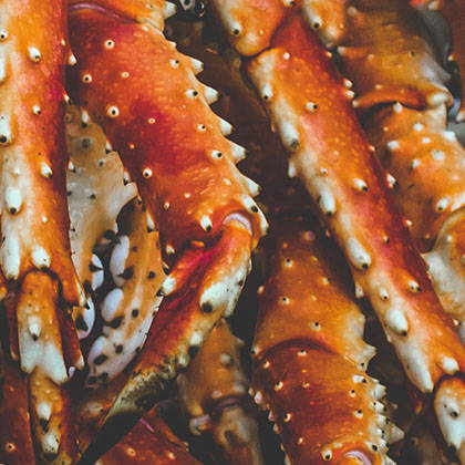 King Crab Orange Collection – YETI EUROPE