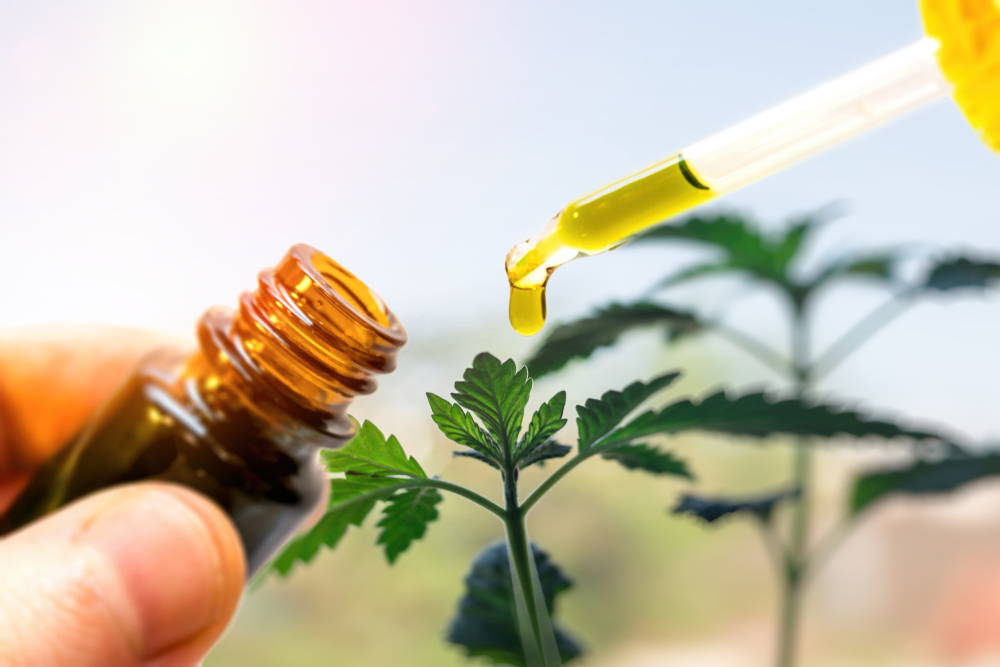 CBD oil and your health