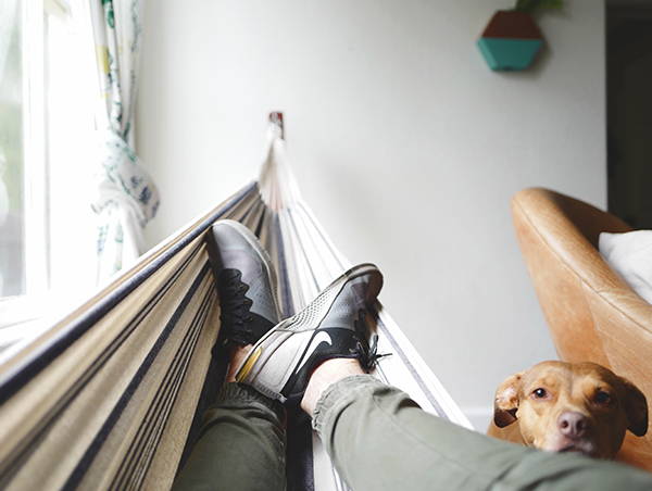 Legs and feet of man relaxing in hammock with a dog sitting next to him.