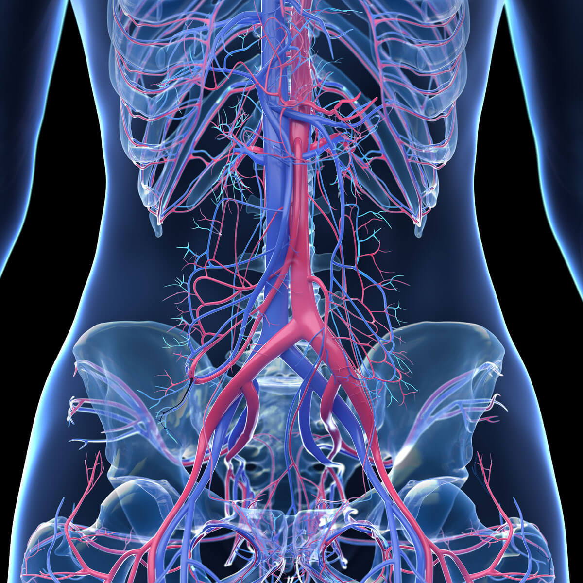 hormonal signalling changes affecting metabolism with age