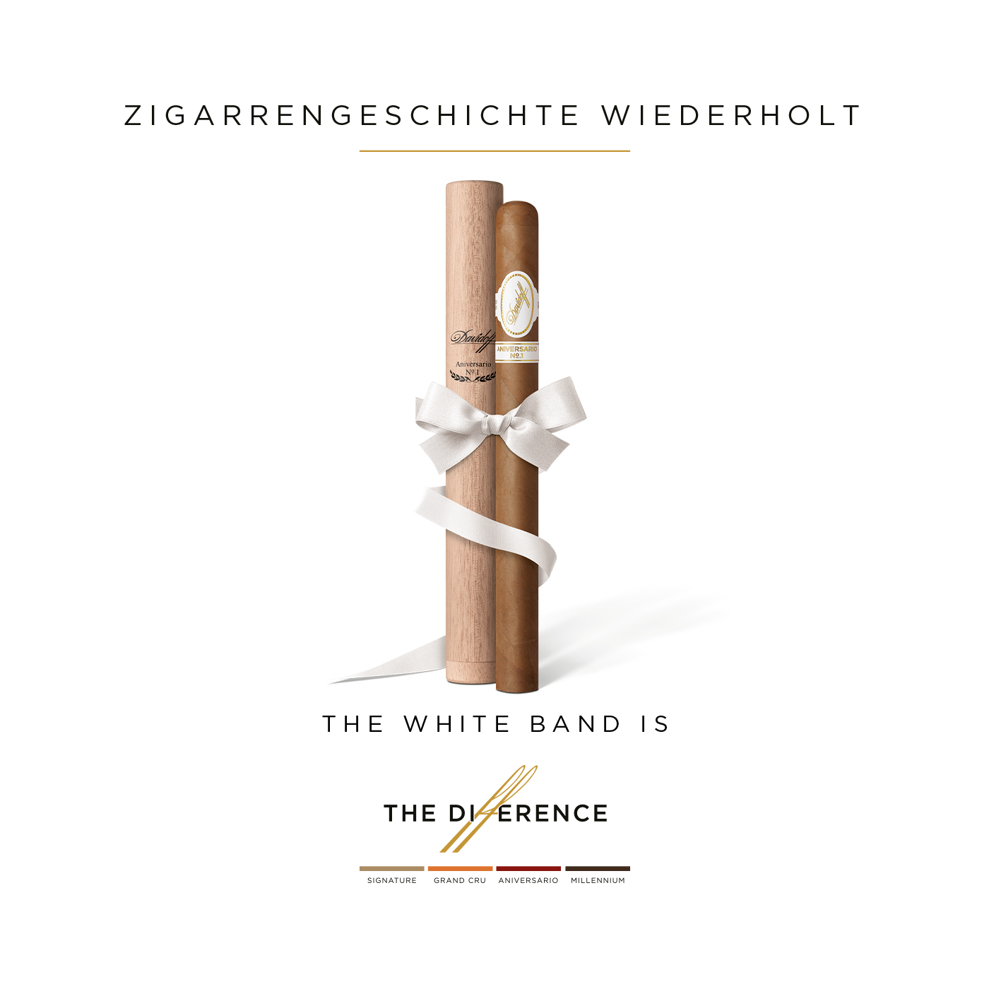 Eine Davidoff Aniversario No. 1 Limited Edition Collection-Zigarre, die neben ihrem Holztubo steht. Beide werden mit einer weissen Schleife zusammengehalten.