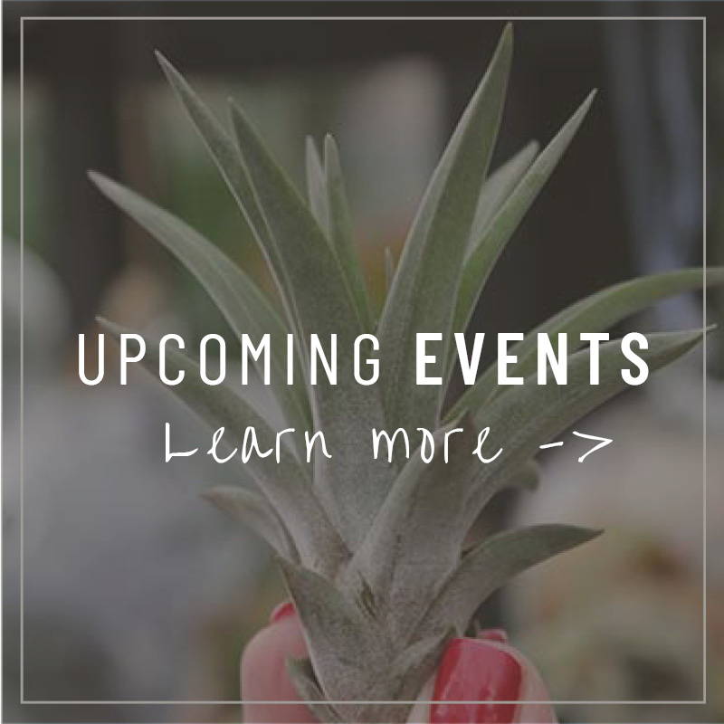 Store Events