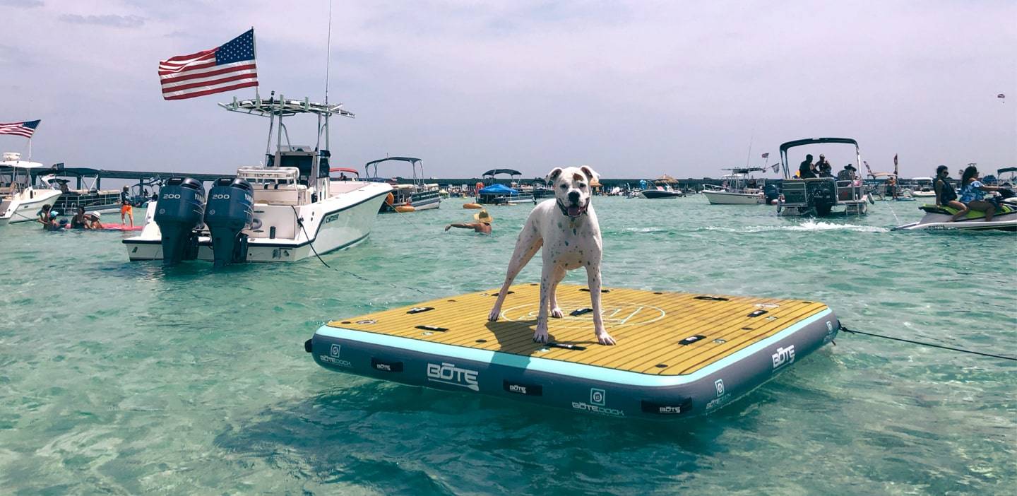 Dog standing on an inflatable Dock 7