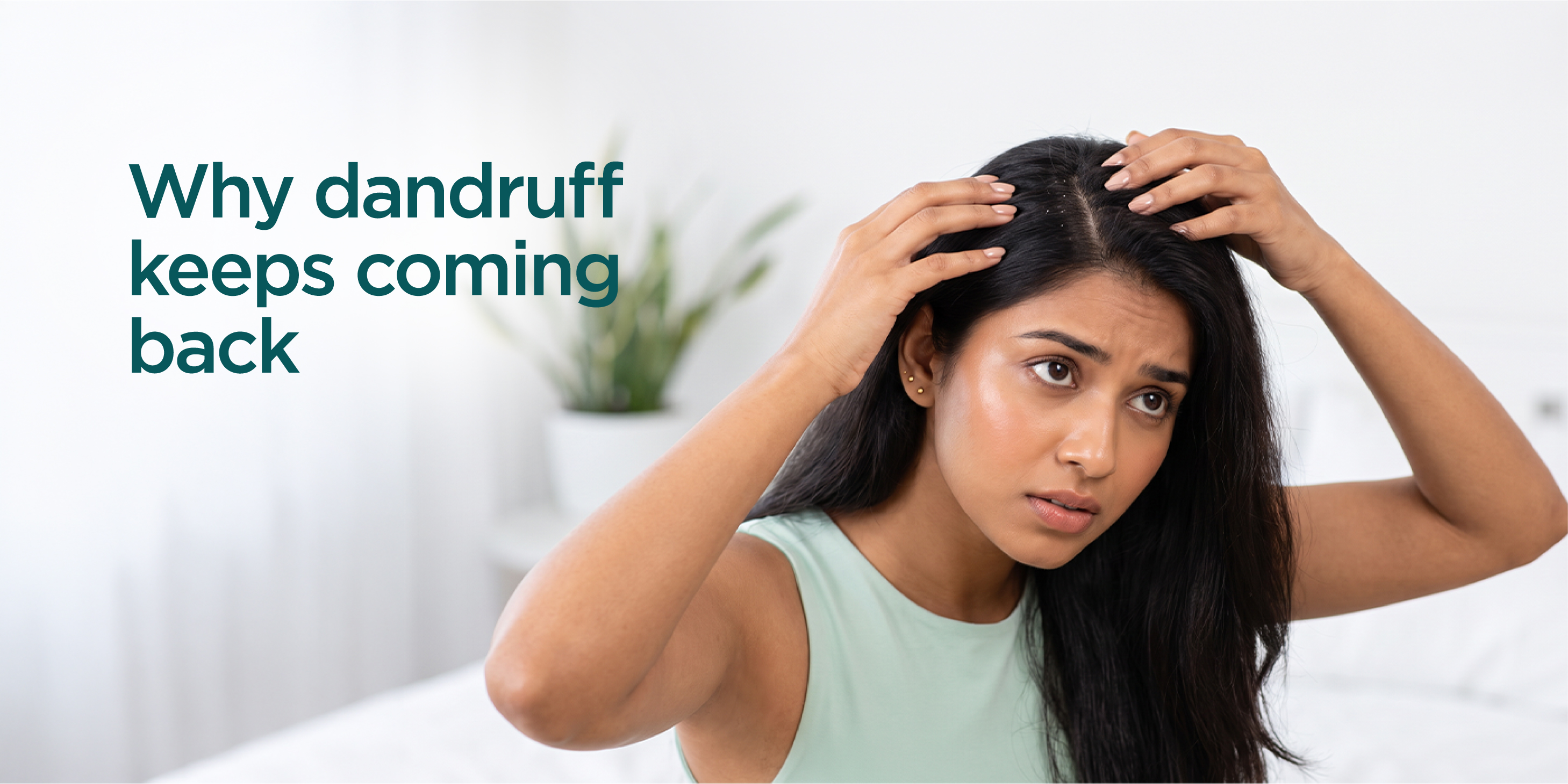 Blog 10_Why Does Dandruff Keep Coming Back.jpg