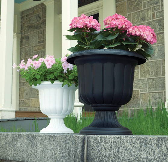 Flowers growing in white and black classic urn planters