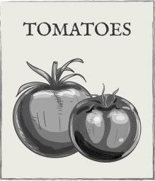 Jump down to tomatoes growing guide