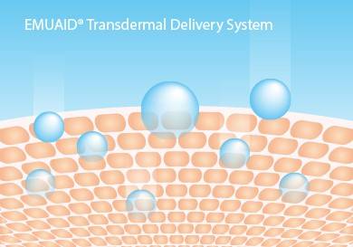 Picture of the Transdermal delivery system