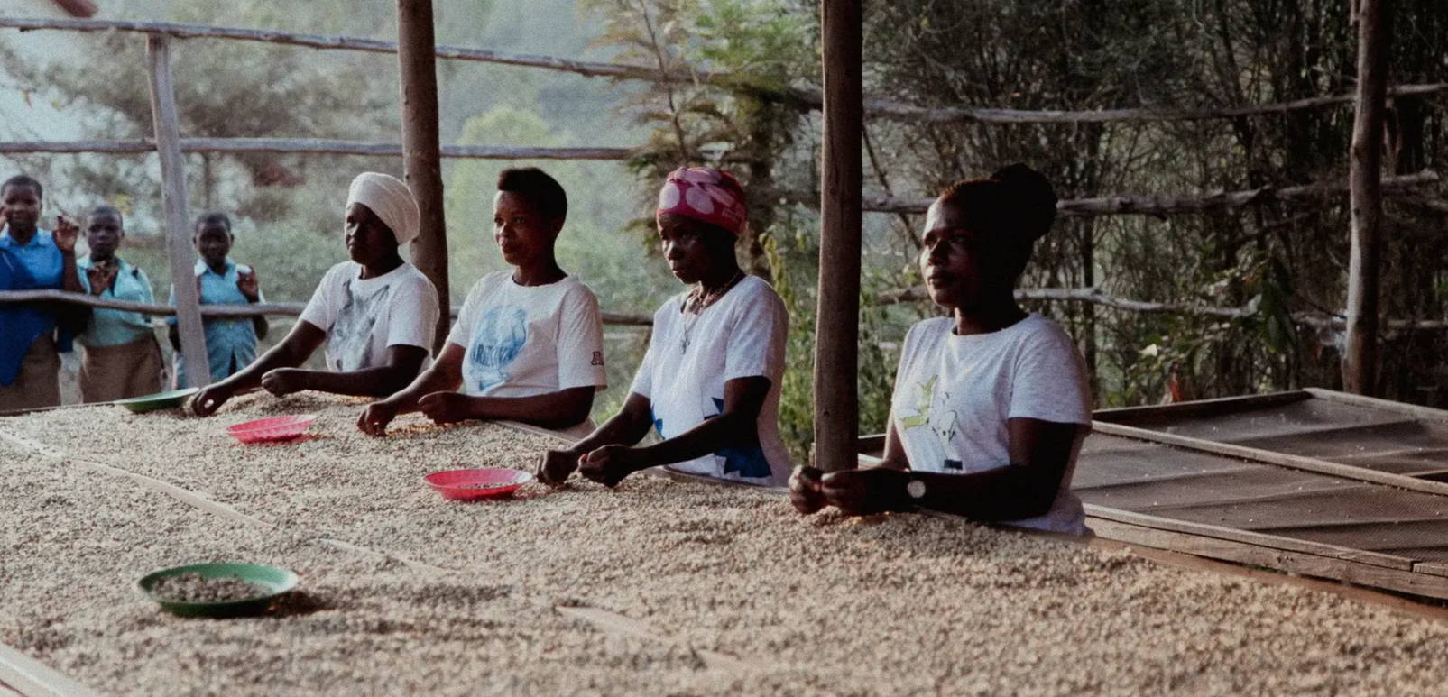 Kaffeeproduzierende der Kooperative Kabila in der rovence nord in Ruanda. Fine Robusta
